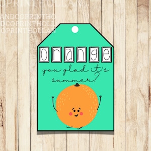 Orange you glad it&#39;s summer? Printable Treat Tag | End of School Teacher gift | Summer Break Treat Tag | Digital Download |