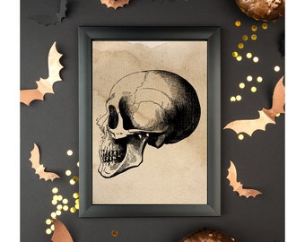 Impressão de esqueleto vintage | Decoração de casa de Halloween |