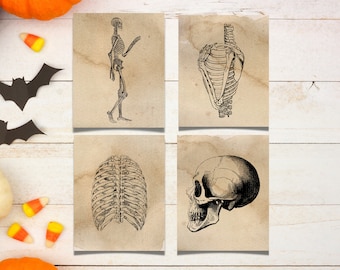 Vintage Skeleton Print / Decoración del hogar de Halloween /