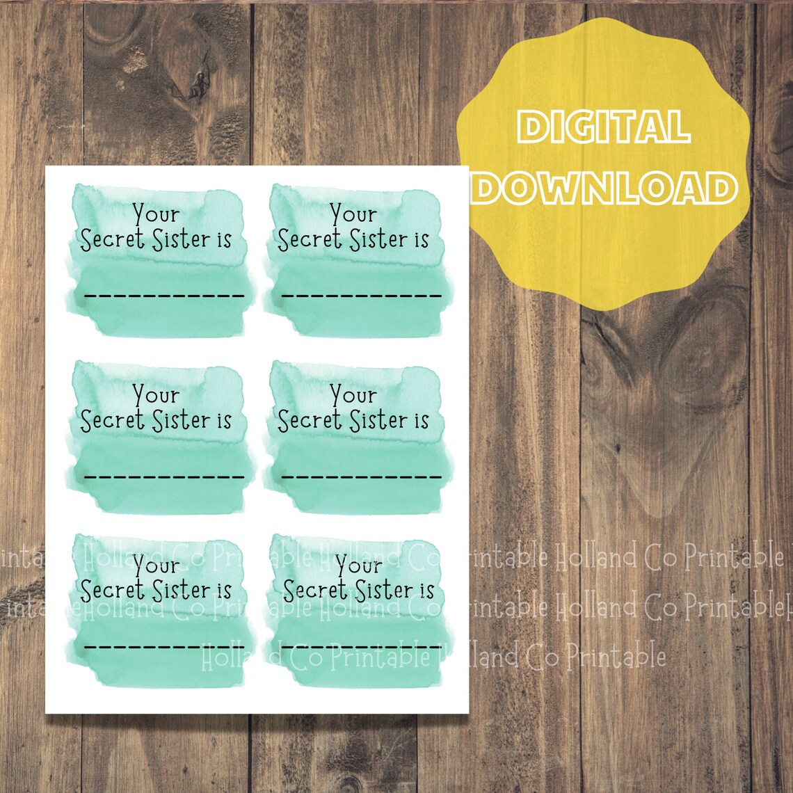 Secret Sister Printable Survey Questionnaire for Secret - Etsy