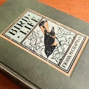 RARE 1909 book Bird Life by Frank Chapman color ornithology guide