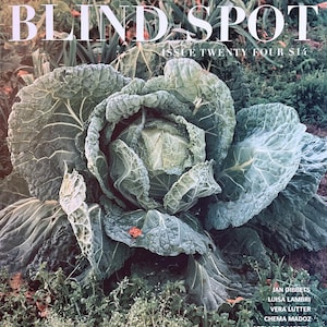 Puede incluir: Una portada de revista titulada "BLIND SPOT" con una imagen en primer plano de una gran col verde. El número de la edición es "TWENTY FOUR". La portada también incluye una lista de nombres de colaboradores.