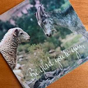 May include: A square card featuring a sheep and a goat facing each other. The sheep has white wool and curved horns. The goat is gray with large horns. The text "Be glad you're you," is written in cursive.