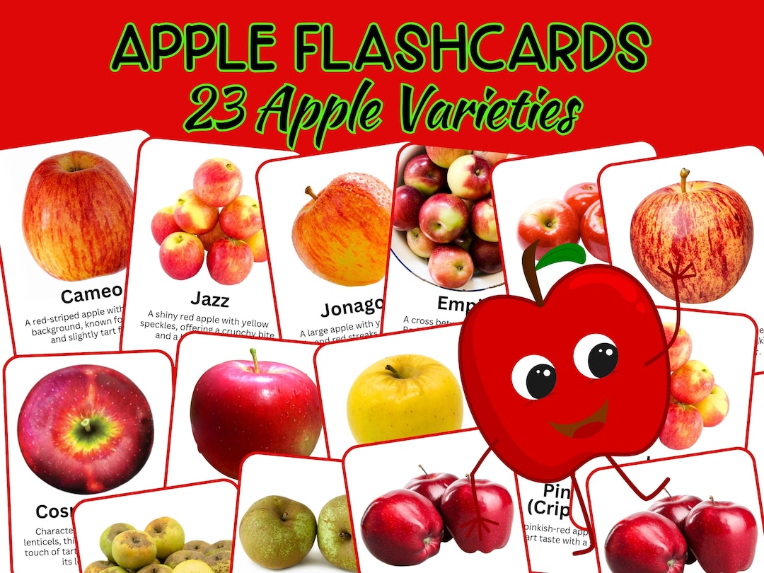 Apple Varieties Flashcards Apples Flash Card 23 Real Etsy