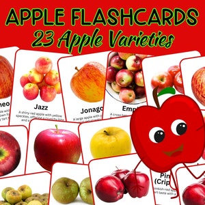 Flashcards voor appelvariëteiten | Appels Flashkaart | 23 echte afbeeldingen voor het leren van kinderen in de herfst | Apple-activiteit voor kinderen | Apple-leren