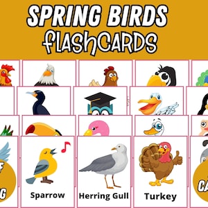 Printable Spring Birds Flash Cards | Springtime Montessori Cards | Homeschool Montessori Flashcards for Kids (Preschool & Kindergarten)