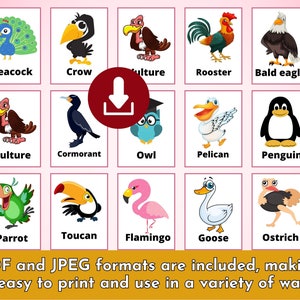 Printable Spring Birds Flash Cards | Springtime Montessori Cards ...