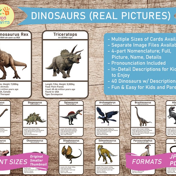 DINOSAURS (real pictures) | 40 Montessori Cards | Flash Cards Nomenclature Cards Printable Cards Preschool