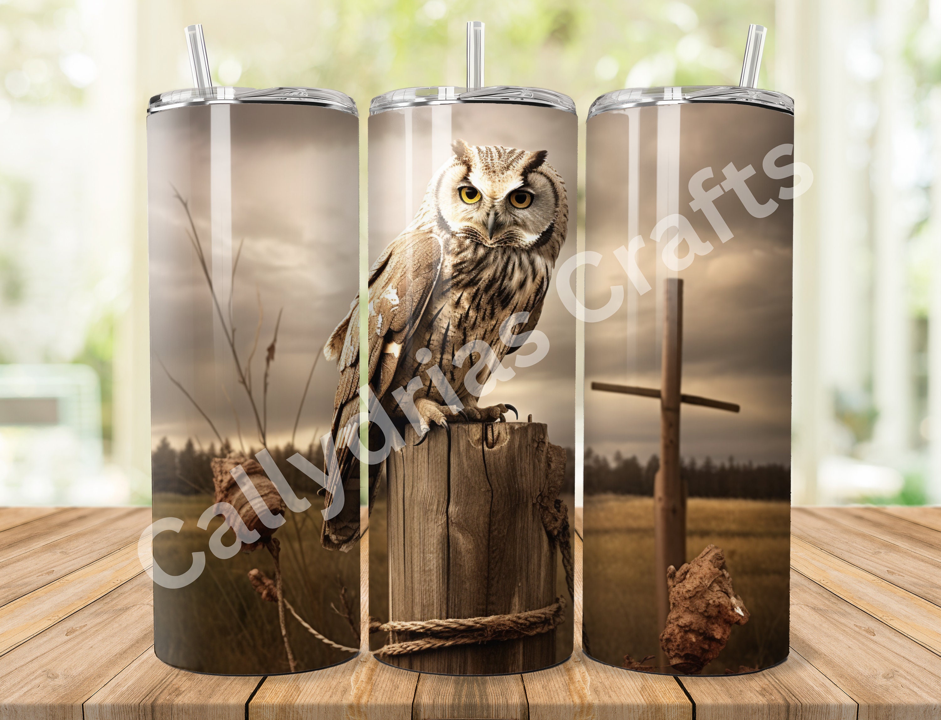 Owl Sublimation Tumbler Wrap, Tumbler Wrap PNG, 20oz Skinny Tumbler Wrap