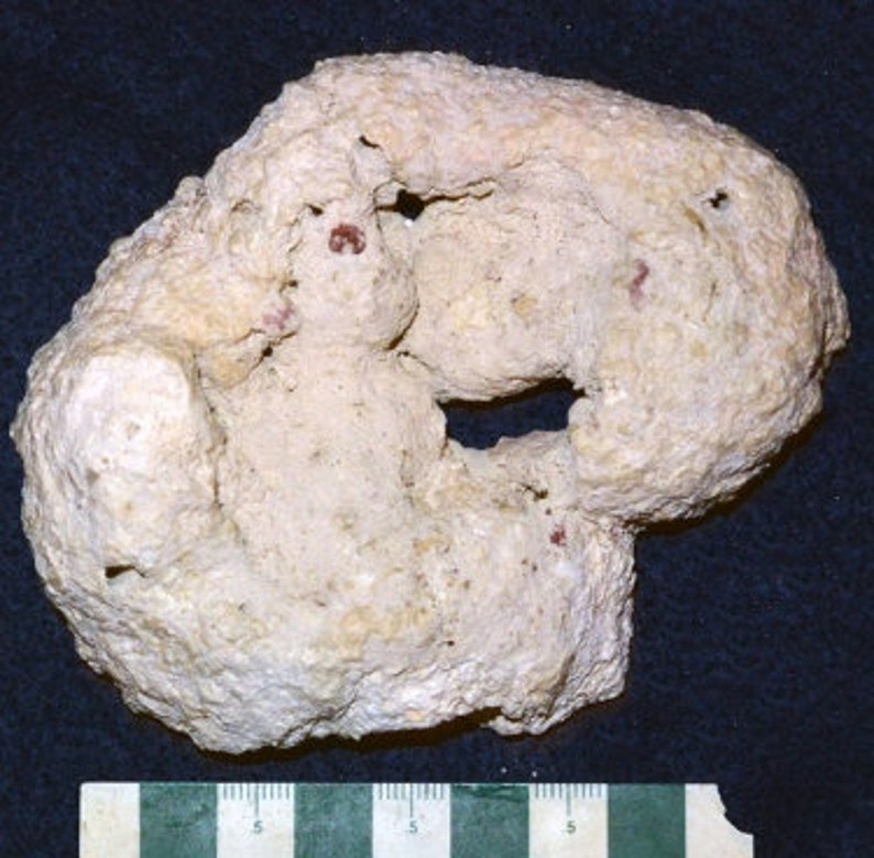 Peut inclure: Une roche blanche, poreuse, de forme irr&eacute;guli&egrave;re avec un grand trou au centre. La roche a une texture rugueuse et semble &ecirc;tre faite de corail.