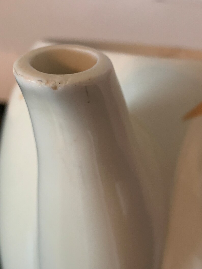 May include: Close-up of the spout of a white ceramic teapot. The spout is smooth and rounded, with a slight lip at the opening.
