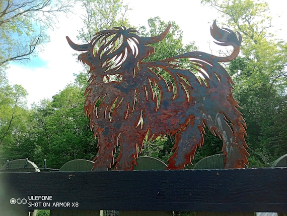 Large Metal Highland Cow - Hairy coo - Made in wales - Garden Art - Statement piece