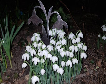 Double headed Snowdrop - Made In Wales - Plant Marker - Rusty Garden Art - Garden