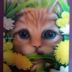 Summer Cat 3D Postcard, SheBlackDragon Design
