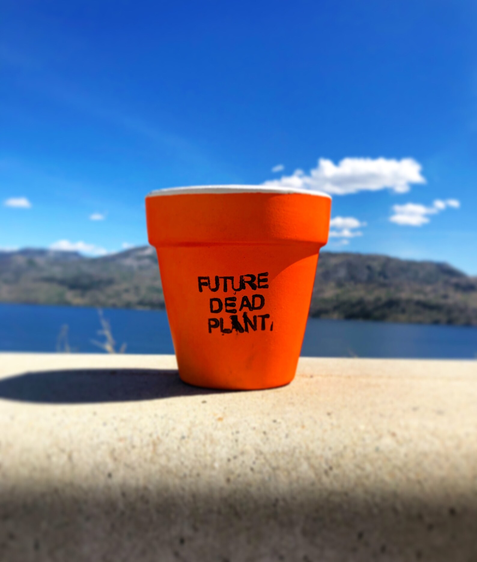 Custom Handmade Terracotta Plant Pot Etsy Canada