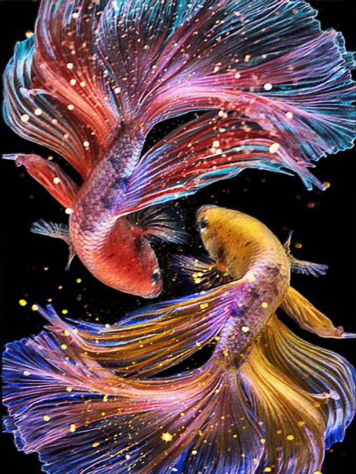 diamond painting koi
