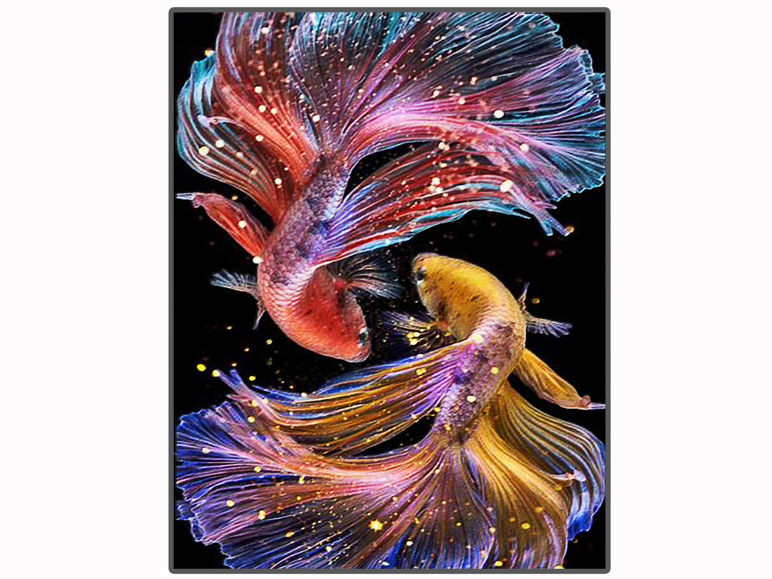 diamond painting koi