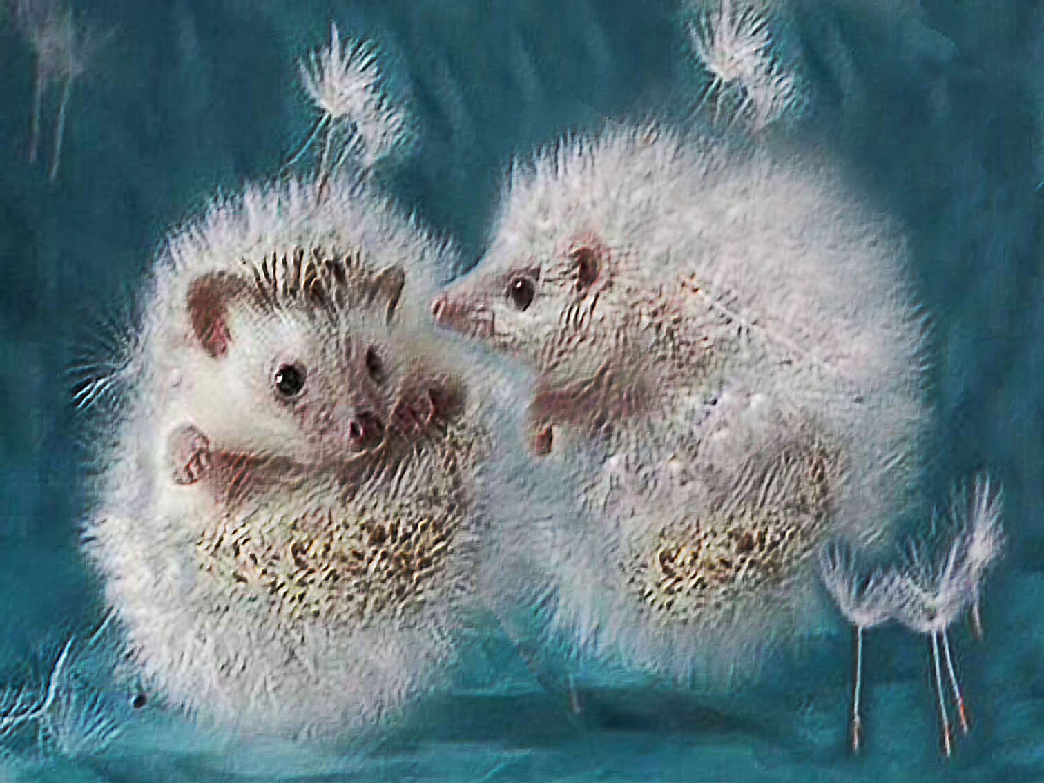 Dandelion Hedgehog 5D Full Drill DIY Diamond Painting Cross Stitch Decor Dandelion Hedgehog 5D Full Drill DIY Diamond Painting Cross Stitch Decor