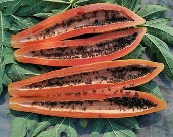 May include: Four halves of a ripe papaya, showcasing vibrant orange flesh and a multitude of black seeds. The fruit is presented on a bed of green leaves, highlighting its natural freshness and color.