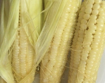 20 Seeds Waxy Corn Vietnamese Bap NEP  Sticky Corn Seeds glutinous Corn White Corn Sticky Sweet Corn bắp nếp dẽo hạt giống RADO