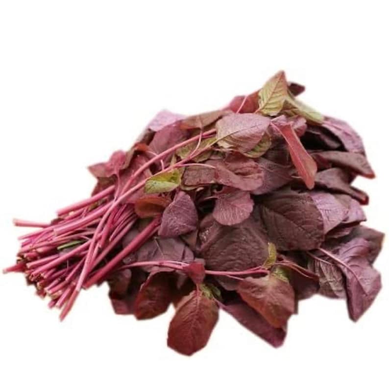 5000 Red Leaf Amaranth Black Seeds Hat Giong Rau Den Do - Etsy