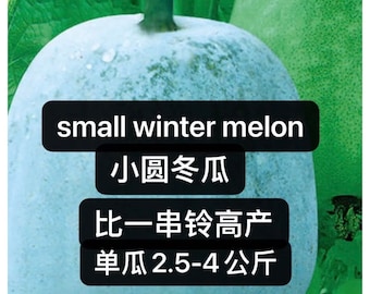 20 Asian Small Round Winter Melon/White Gourd/Wax Ash Gourd Seeds粒高产小圆冬瓜种子 Bi