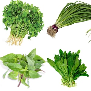 Asian Herb & Vegetable Seed Set for Pho, Bun Bo, Banh Xeo, Soup, Stir Fry | Hạt Giống Rau Ăn Phở, Bún Bò, Bánh Xèo, Canh, Xào