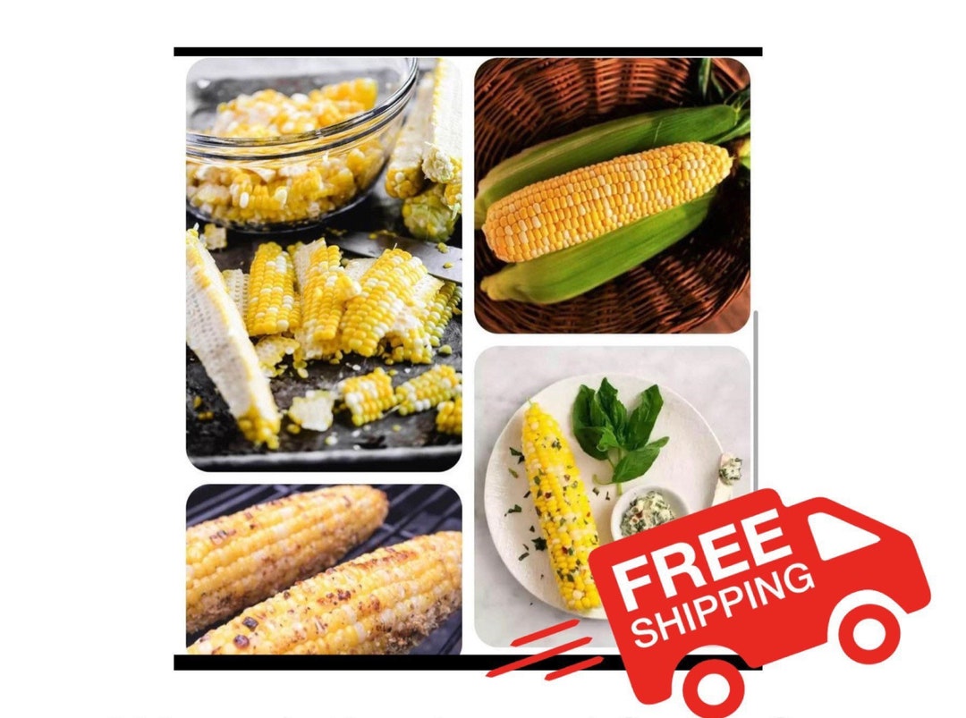 1/2lb Seeds Peaches and Cream Corn Seeds F1 Hybrid Se Etsy