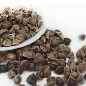 Moringa Seeds 4 Oz 400 Seeds Rich in Vitamins Edible Seeds