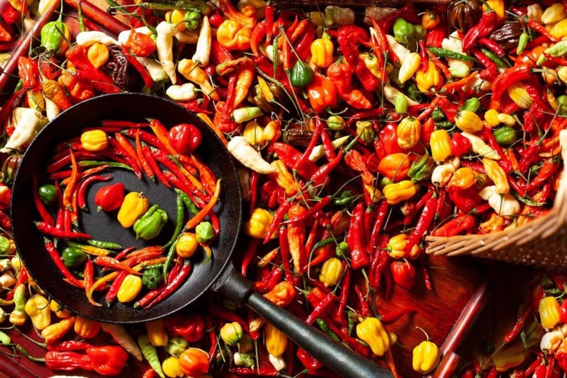 16 Rare Hot Chili Pepper Seeds Variety Pack for Planting. 650+ Non-gmo ...