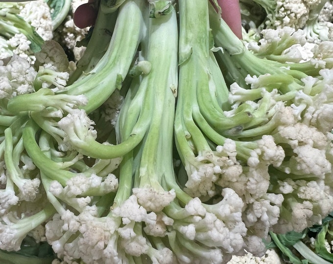 Featured listing image: ON SALE - Cauliflower Loose Type Long Stems 200+Seeds Chinese Vegetable Organic Seeds for Planting 原装彩包西兰花花菜松花 bong cai than dai bông cải