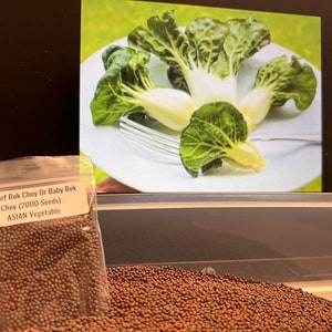 Dwarf Bok Choy Or Baby Bok Choy (2000 Seeds) - ASIAN Vegetable