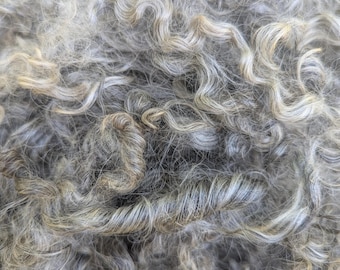 Gotland Raw Wool Lamb Fleece