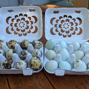 Laser Cut Floral Quail Egg Cartons: Paper Pulp Set of 4