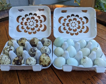 Laser Cut Floral Quail Egg Cartons: Paper Pulp Set of 4
