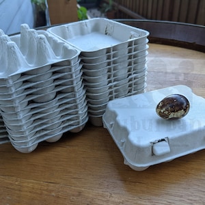 Quail Egg Cartons: Paper Pulp, Set of 32