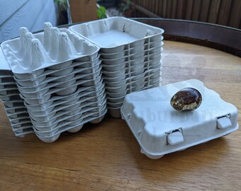 Quail Egg Cartons: Paper Pulp, Set of 32