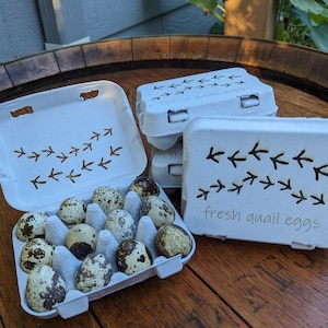 Laser Cut Quail Tracks Quail Egg Cartons: Paper Pulp Set of 4