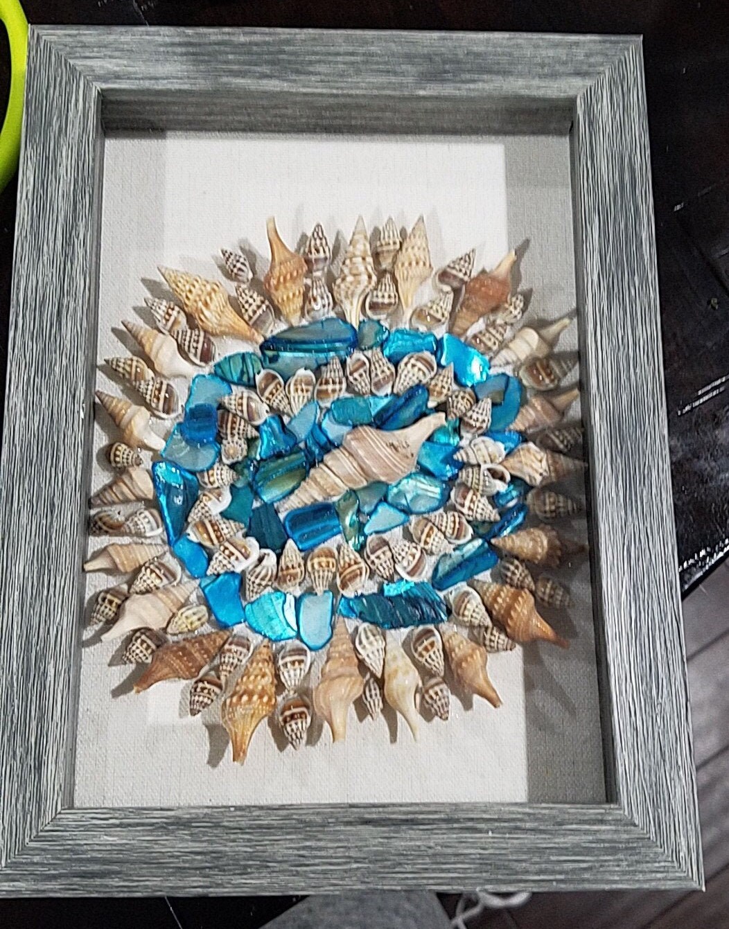 Seashell Shadow Box Etsy