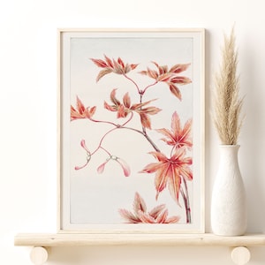Branch of Momiji maple tree by Megata Morikaga, Original from Library of Congress, Maple Tree Giclee Art Print, Floral Home Wall Decor Gift