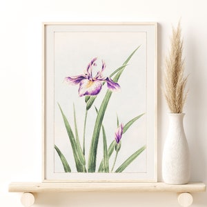 May include: A framed print of a watercolor painting of a purple and white iris flower with green leaves on a white background.