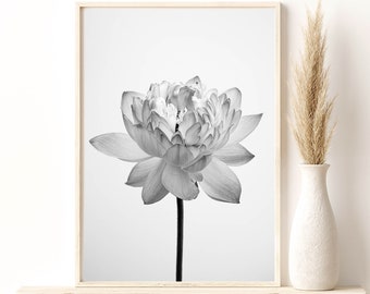 Lotus Flower Art Print, Arte fotográfico en blanco y negro, Póster de flor de loto, Arte de pared en blanco y negro, Giclee Print, Art Deco