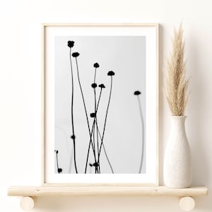 Black and White Photography Print, Modern Wall Art, Delicate Poster, Black and White Wall Art, Giclee Print, Art Poster, Art Deco