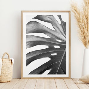 Monstera Leaf Art Print, Modern Wall Art, Monstera Leaf Poster, Black and White Wall Art, Giclee Print, Art Poster, Art Deco, Home gift