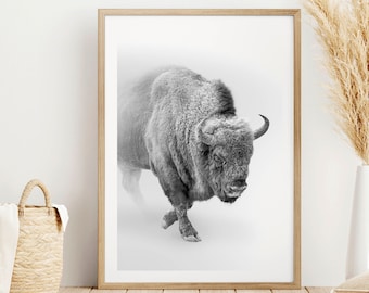 Bison in Snow, Black and White Photography, Wall Art, Buffalo Print, Black and White Wall Art, Giclee Print, Art Poster, Bison Print