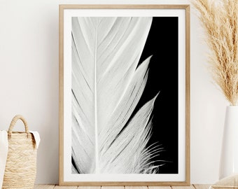 White Feather on Black Background, Modern Wall Art, Feather Poster, Black and White Wall Art, Giclee Print, Art Poster, Photography Print