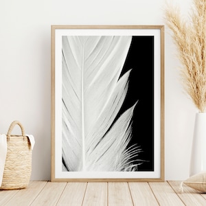 Pena branca em fundo preto, arte moderna de parede, pôster de penas, arte de parede em preto e branco, impressão giclée, pôster de arte, impressão fotográfica