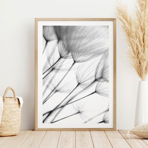 Dandelion Art Print, Black and White Modern Wall Art, Dandelion Poster, Black and White Wall Art, Giclee Print, Art Deco Poster