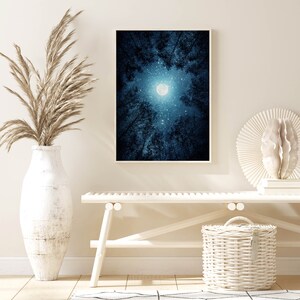 May include: A white bench with a white wicker basket and a white vase with dried pampas grass. A framed print of a full moon in a dark blue forest hangs on the wall behind the bench.