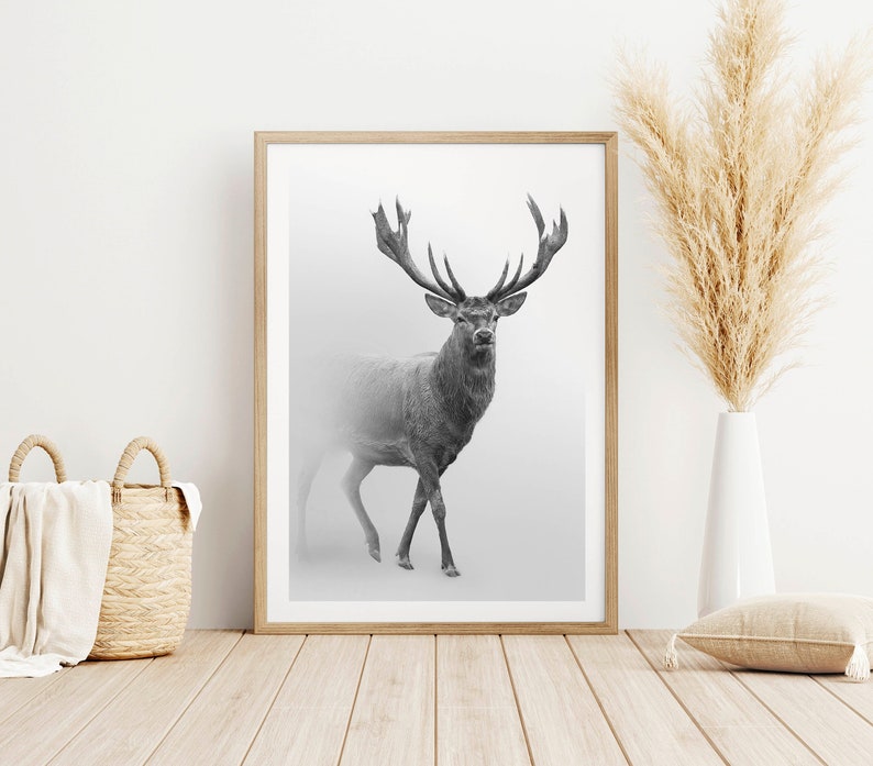 K&ouml;nnte beinhalten: Ein Schwarzwei&szlig;foto eines gro&szlig;en m&auml;nnlichen Hirsches mit Geweih, der auf einem nebeligen Feld steht. Der Hirsch schaut direkt in die Kamera.